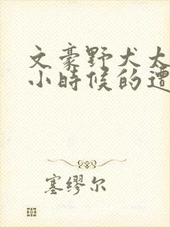 文豪野犬太宰治小时候的遭遇