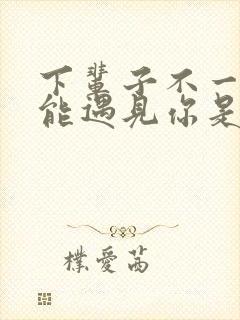 下辈子不一定还能遇见你是什么歌