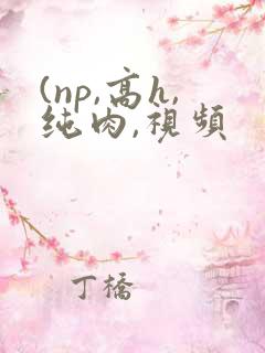 (np,高h,纯肉,视频