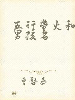 五行带火和土的男孩名