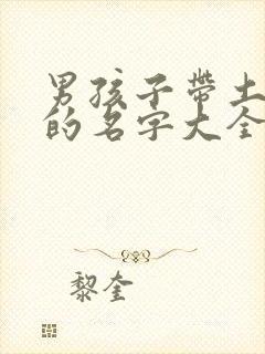 男孩子带土字旁的名字大全