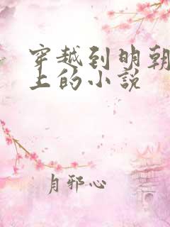 穿越到明朝当皇上的小说