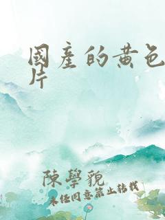 国产的黄色一级片