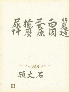 尿检蛋白质高是什么原因造成的