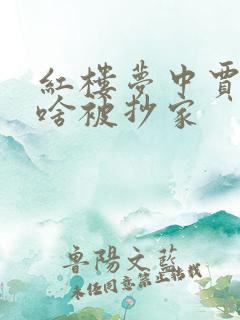 红楼梦中贾府为啥被抄家