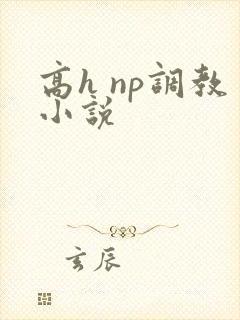 高h np调教小说