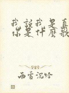 我说我是真的爱你是什么歌的歌词