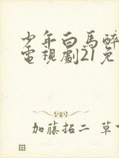 少年白马醉春风电视剧21免费观看