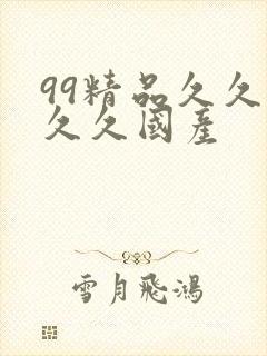 99精品久久久久久国产