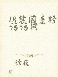 18禁国产精品污污网