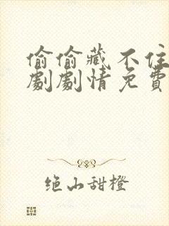 偷偷藏不住电视剧剧情免费观看