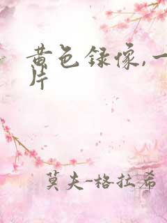 黄色录像,一级片