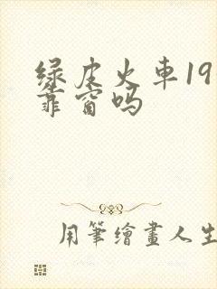 绿皮火车19号靠窗吗