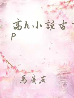 高h小说古言np