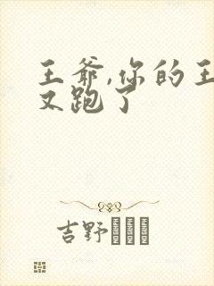 王爷,你的王妃又跑了