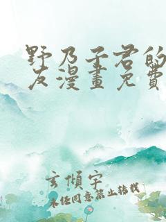 野乃子君的女朋友漫画免费阅读