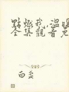 点燃我,温暖你全集观看免费