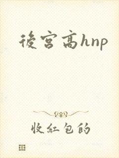 后宫高hnp
