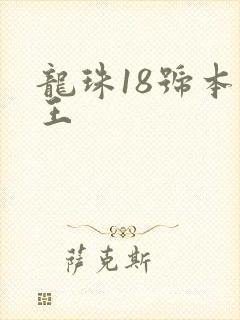 龙珠18号本子王