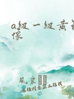 a级一级黄色录像