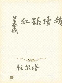 美红孙倩赵敏高义