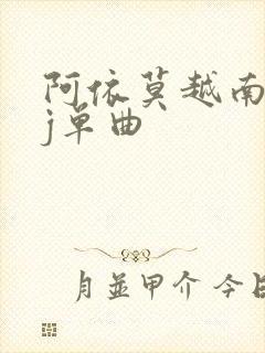 阿依莫越南鼓dj单曲