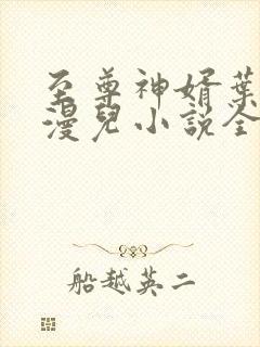 至尊神婿叶昊郑漫儿小说全集5248