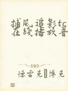 捕风追影tc版在线播放普通话