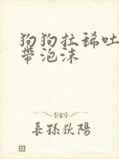 狗狗拉稀吐黄水带泡沫