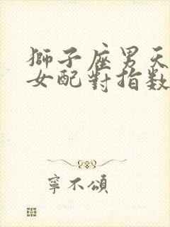 狮子座男天秤座女配对指数