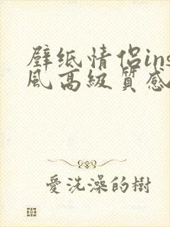 壁纸情侣ins风高级质感全屏