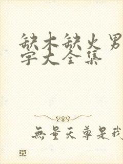 缺木缺火男孩名字大全集