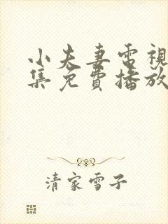 小夫妻电视剧全集免费播放高清