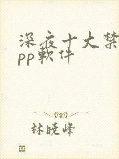 深夜十大禁止app软件