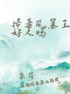 扫毒风暴王奇是好人吗