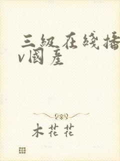 三级在线播放av国产