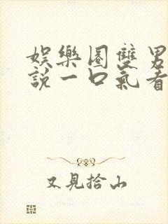 娱乐圈双男主小说一口气看完