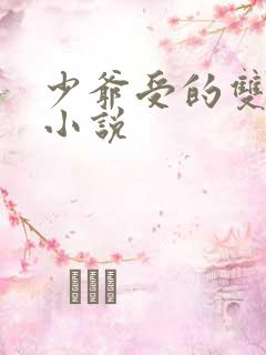 少爷受的双男主小说