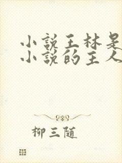 小说王林是哪本小说的主人公