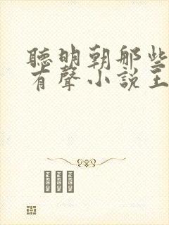 听明朝那些事儿有声小说王更新