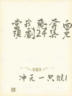 当我飞奔向你电视剧24集免费观看