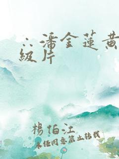 ∴潘金莲黄色一级片