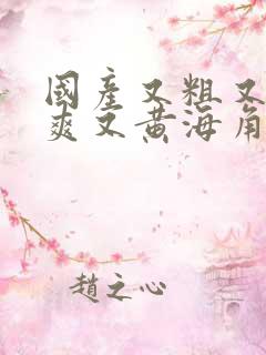 国产又粗又猛又爽又黄海角