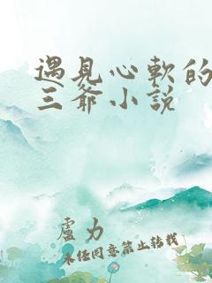 遇见心软的神秦三爷小说