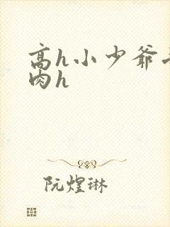 高h小少爷受荡肉h