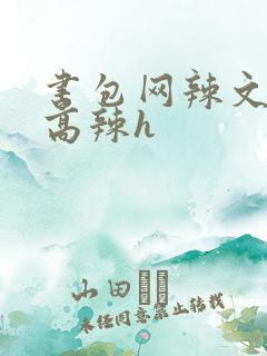 书包网辣文小说高辣h