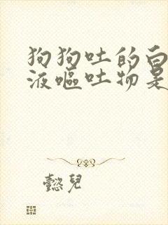 狗狗吐的白色粘液呕吐物是咋回事