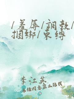 /羞辱/调教/捆绑/束缚