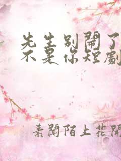 先生别闹了新娘不是你短剧免费观看