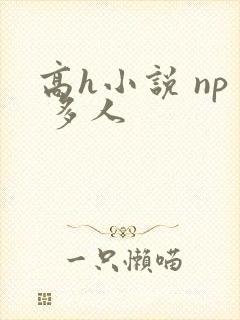 高h小说 np 多人